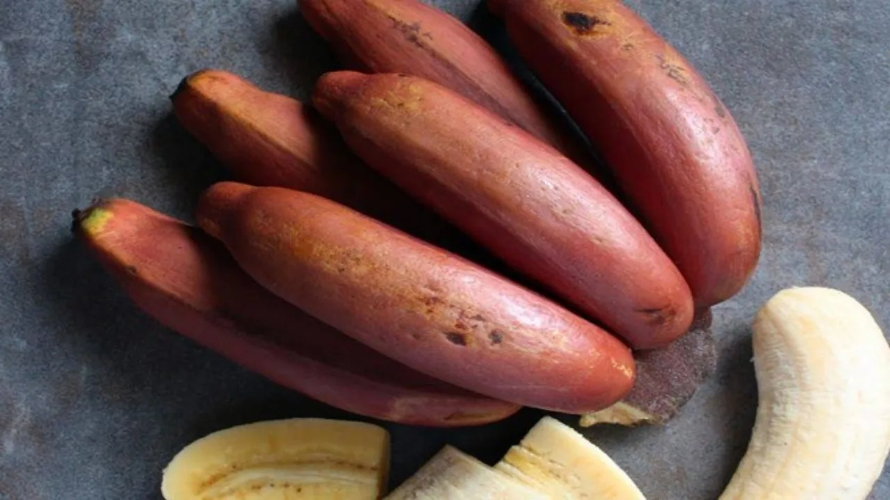 الموز البني