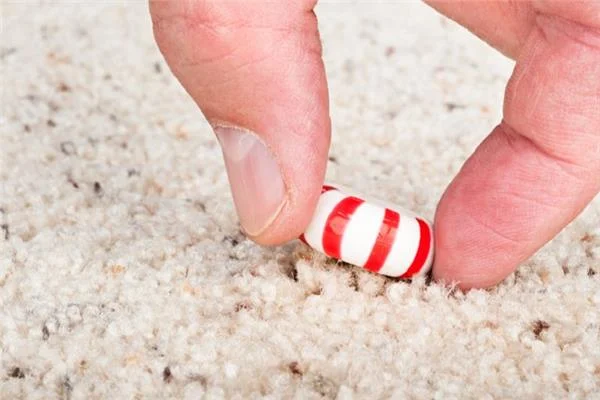 هل يمكن تناول الطعام بعد سقوطه على الأرض بأمان؟