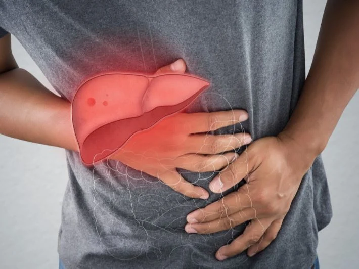الكبد