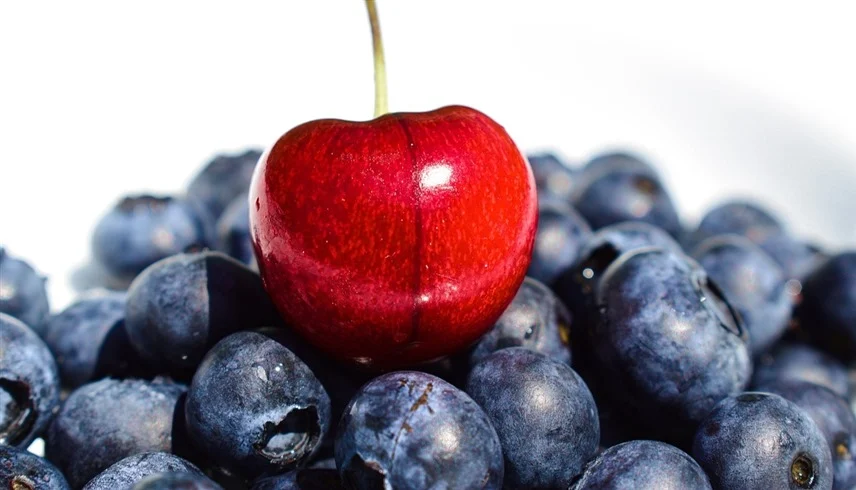 الأطعمة المرّة