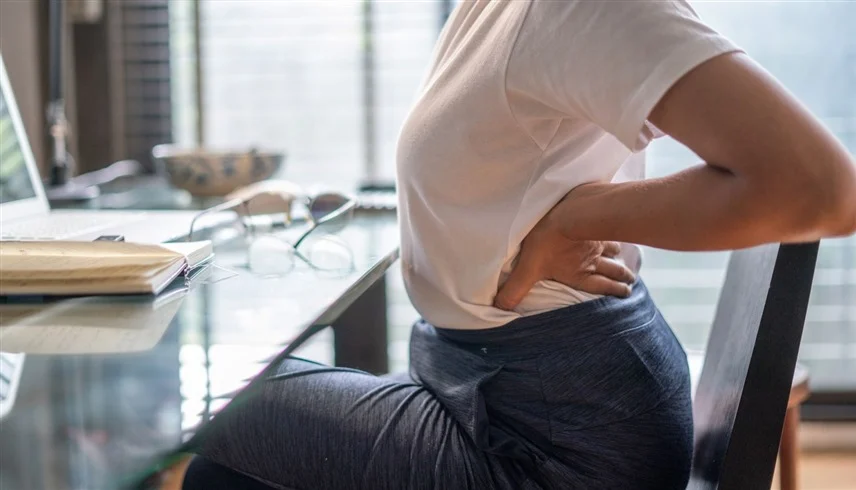 العمود الفقري