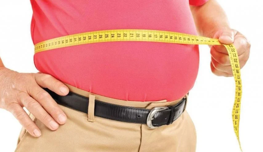 الدهون الحشوية