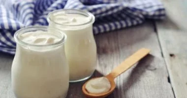 تنويع مصادر البروبيوتيك لتحسين صحة الأمعاء: بدائل غذائية تتفوق على الزبادي 