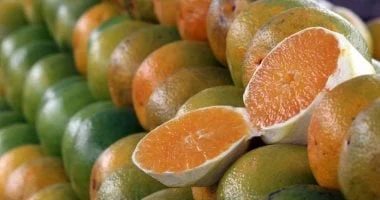 حمية الشتاء: 7 أطعمة تقوي المناعة في البرد 