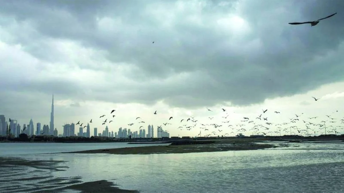 الهيئة الوطنية للأرصاد: تتجدد فرص سقوط الأمطار الثلاثاء والأربعاء 