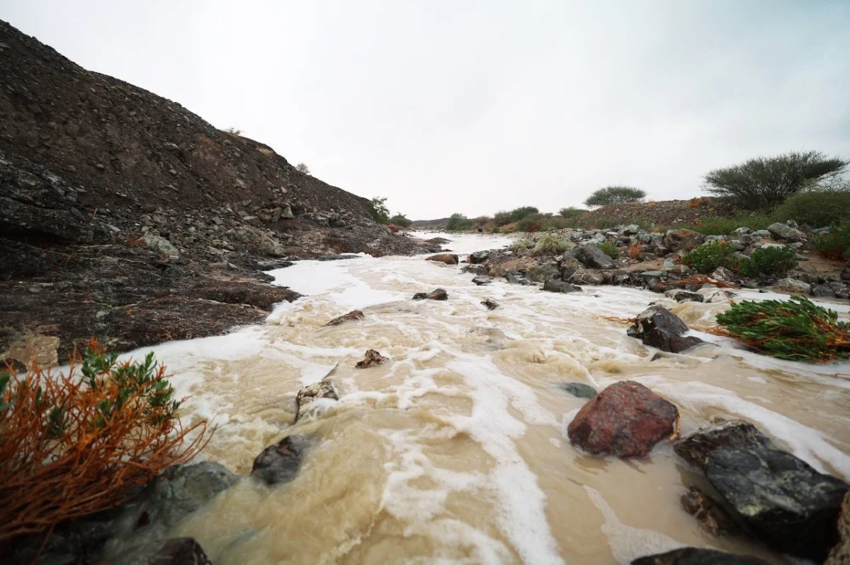 الإمارات تتعامل مع آثار الحالة الجوية بخطة طوارئ فعالة 