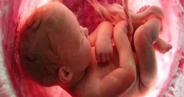 علماء يبتكرون بطانة رحم تشبه البشر لاستكشاف أسباب الإجهاض المبكر 