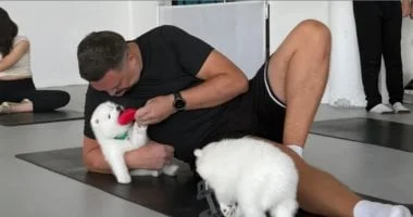 زهقت من الشغل؟ جلسة يوجا مع الكلاب لتخفيف التوتر بسعر 60 دولاراً 