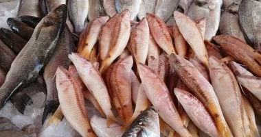 أنواع السمك المفيدة لصحة قلبك وأدرجها في غذائك 