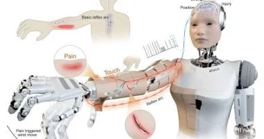 جلد آلي يتيح للروبوتات الشبيهة بالبشر الإحساس بالألم والتفاعل 