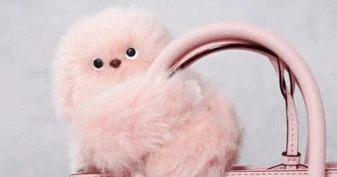 روبوت ذكي يقرأ مشاعر البشر ويتفاعل معها ويتنافس مع لابوبو 