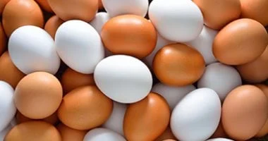 5 طرق ذكية لتناول البيض لمرضى ارتفاع الكوليسترول 