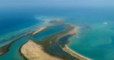 132 متنزها وحديقة بالجوف ترفيهًا للسياح والزوار خلال مهرجان الزيتون الدولي 