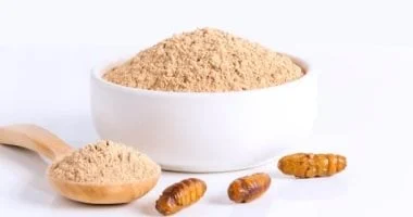 إفلاس أكبر مزرعة حشرات في أوروبا يفتح باب الشكوك حول بدائل البروتين 