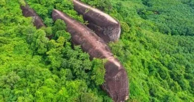 صخرة الحيتان: تشكيلات طبيعية تشبه حيتان عملاقة في غابات تايلاند 