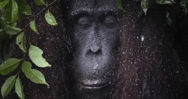 مسابقة بيندا للتصوير الفوتوغرافي تعلن عن الفائزين لعام 2026 