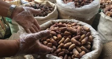 مركز النخيل والتمور يستعرض صناعات التمور السعودية في الدوحة 