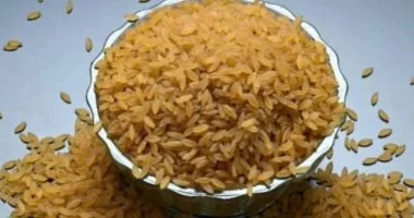 علماء هنود يطورون أرزًا معدل وراثيًا لمكافحة داء السكري وسوء التغذية 