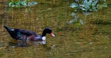 تدفق المياه ينعش وادي الحمدة بالباحة ويعزز جاذبيته السياحية 
